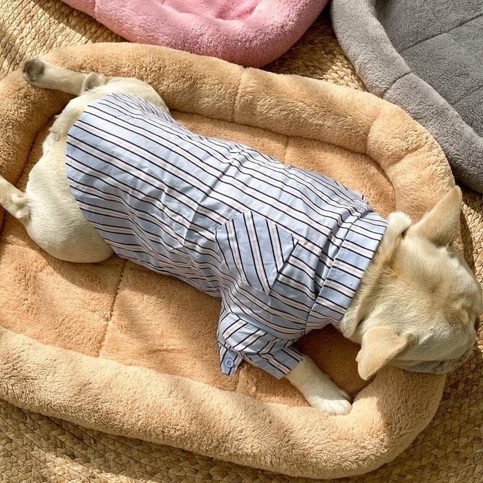 少量現奶貓幼犬墊三色可選喵家熱銷冬天毛絨小窩籠子墊保暖毛墊寵物窩寵物墊寵物睡墊狗窩貓窩-細節圖2