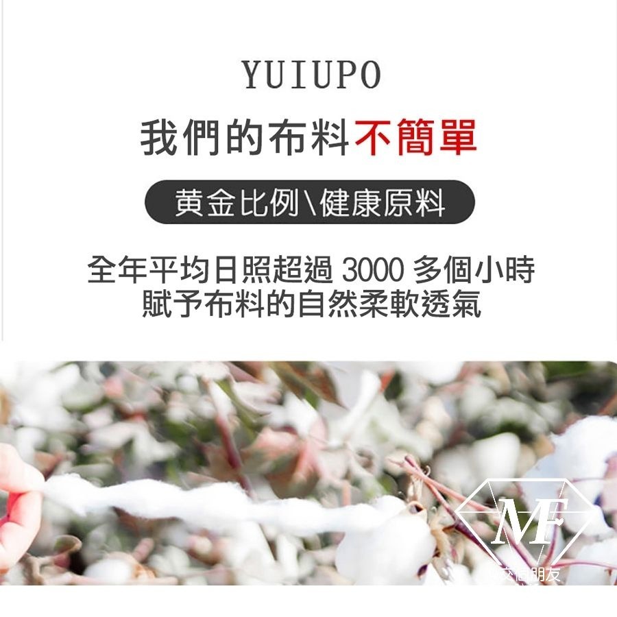 M.F 石墨烯內褲 抗菌 蜂巢底檔 四件組 盒裝 內褲 提臀 女生 台灣賣家 高彈性 透氣 快速出貨 親膚 B0041-細節圖8