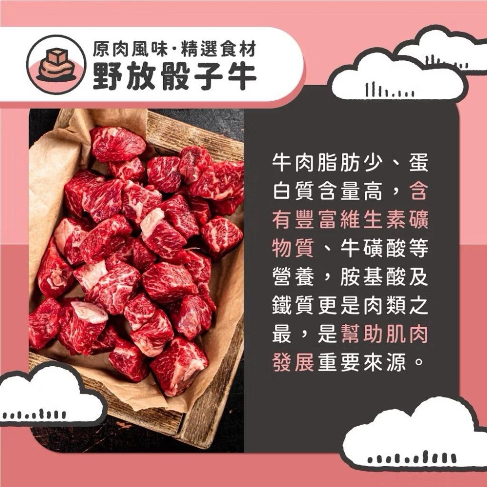 滿嘴塊肉凍乾 #陪心寵糧 #貓貓 #狗狗 #開立發票-細節圖5
