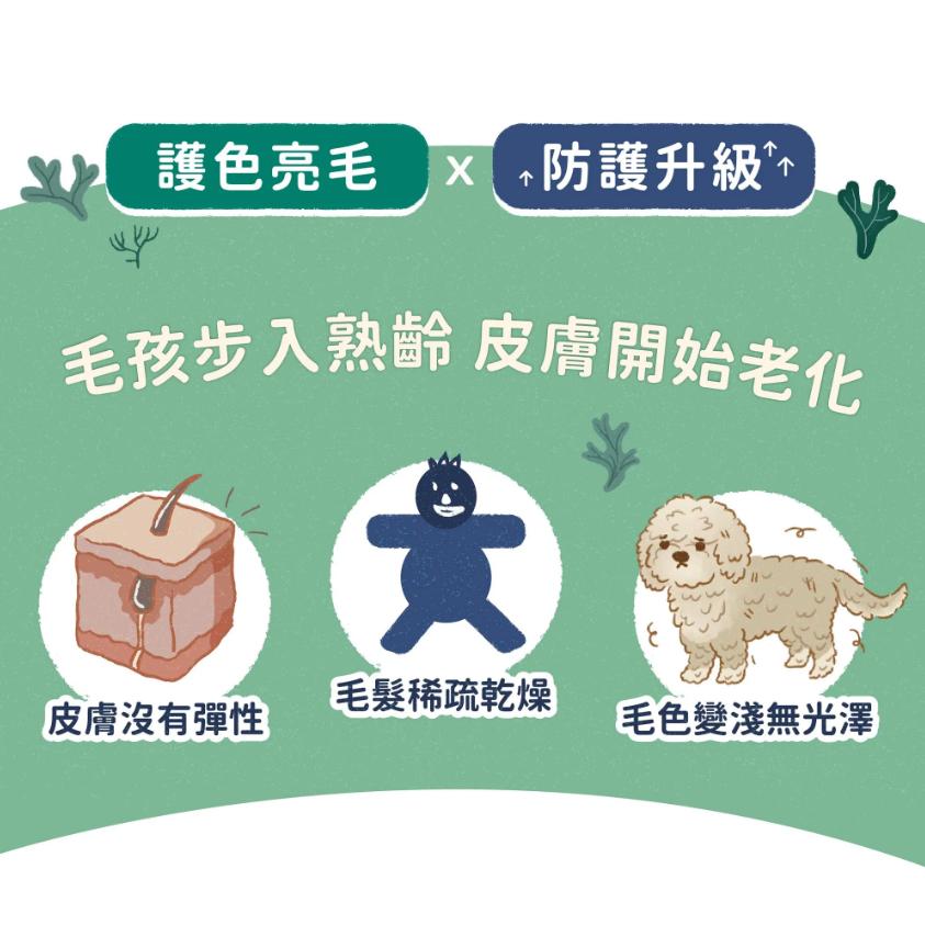 [幸福] BLUE BAY 倍力 藻多美 海藻胜肽護色保健粉 180g-細節圖3