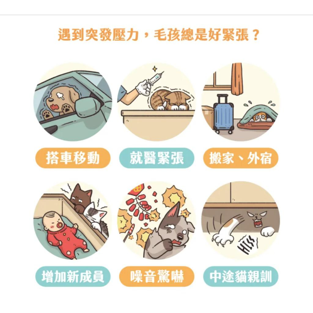 [幸福] 汪喵星球 紓壓胺基酸-細節圖2