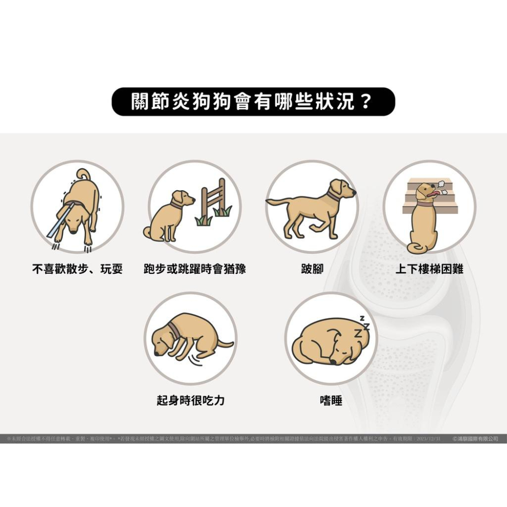 [幸福]【愛迪生】EPOSM 關節骨力錠-細節圖3