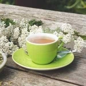 [現貨 效期新鮮]有機西洋蓍草茶 散裝茶 Bio Tee-細節圖3