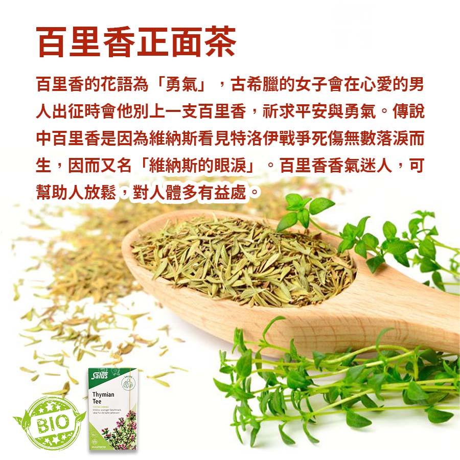 [現貨 新鮮效期]有機百里香茶-細節圖4