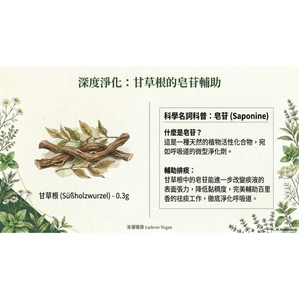 Sidroga 大人咳嗽和支氣管茶過濾袋-細節圖3