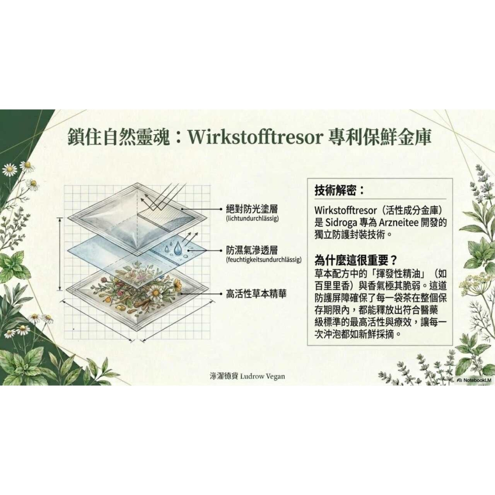 Sidroga 大人咳嗽和支氣管茶過濾袋-細節圖4