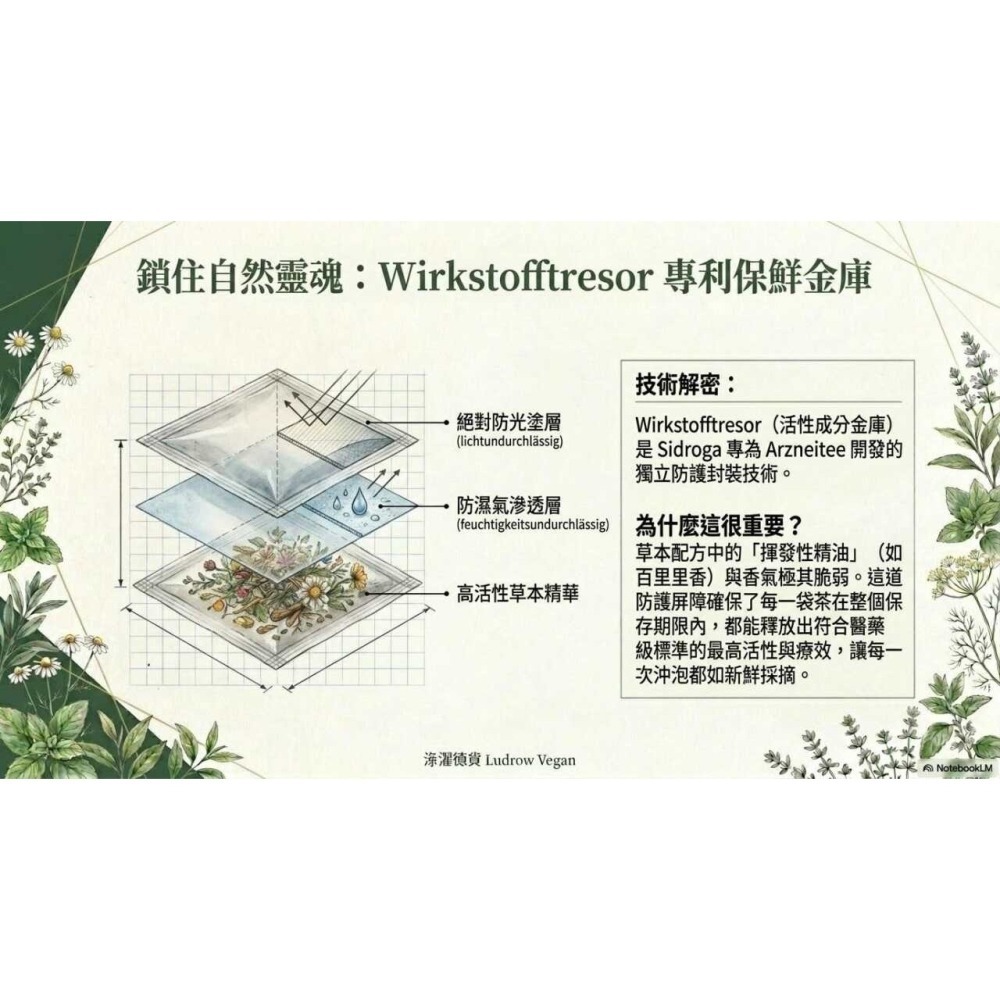 Sidroga 大人咳嗽和支氣管茶過濾袋-細節圖4