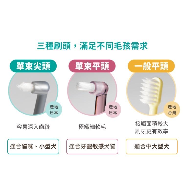 汪喵星球 犬貓專用牙刷 (細軟毛) 一般牙刷 單束尖頭 單束平頭-細節圖2