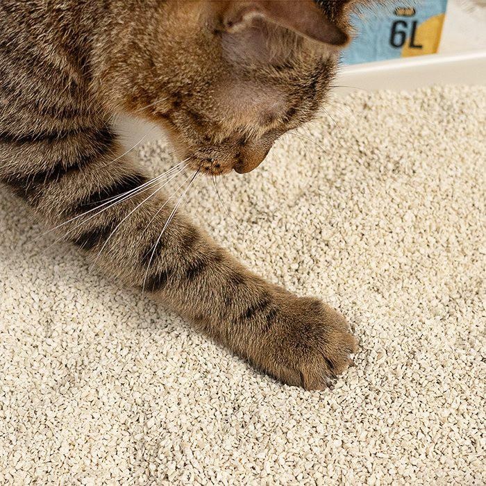 汪喵星球 益生菌消臭豆腐砂（米粒型/原味條型/花草香條形）7L   破碎豆腐砂 礦砂型豆腐砂-細節圖4