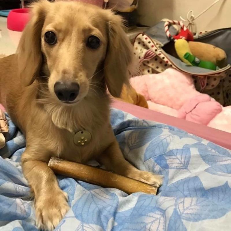 自然牧場 純天然超耐咬牛腱棒-細節圖3