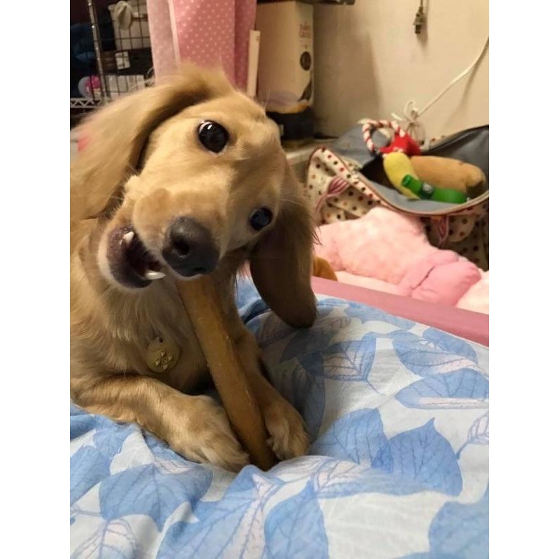 自然牧場 純天然超耐咬牛腱棒-細節圖4