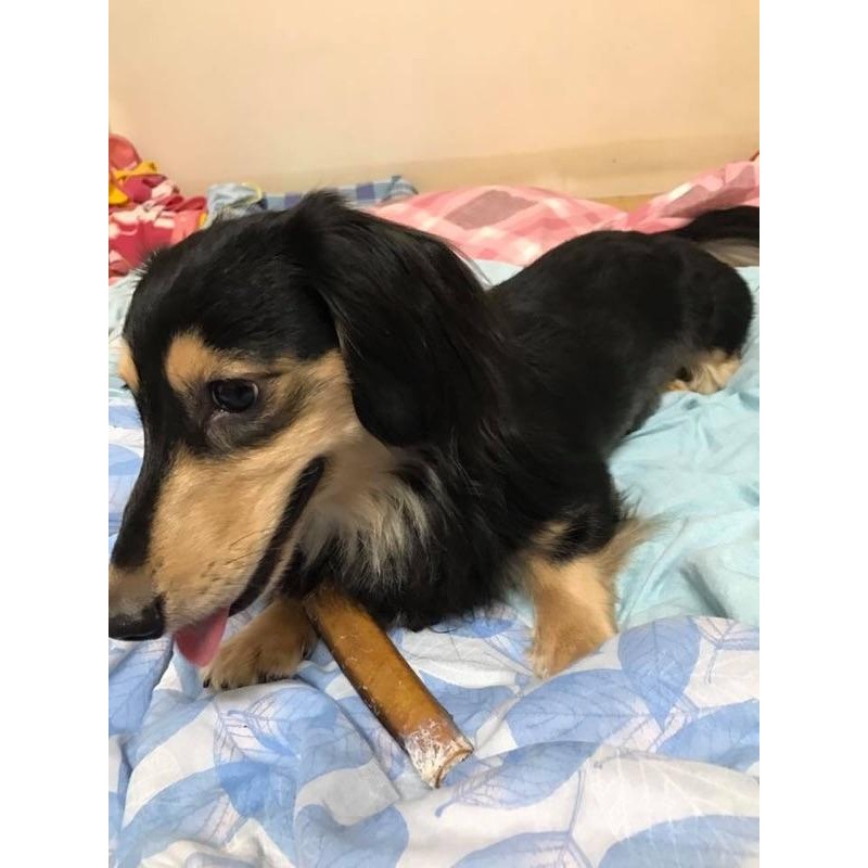 自然牧場 純天然超耐咬牛腱棒-細節圖5