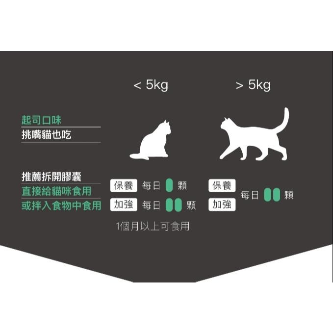 木入森 貓咪護疫升 60顆  離胺酸等六大免疫配方-細節圖2