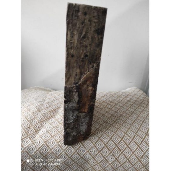 香脂木原木/創作毛料-細節圖3