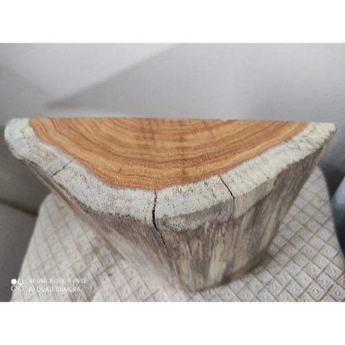 黃金檀木創作毛料-細節圖4