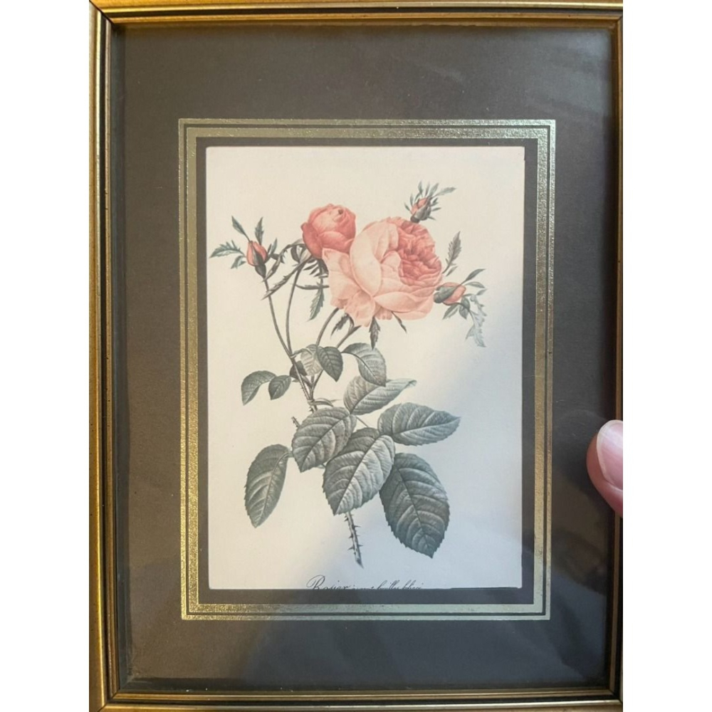 英國 實木框。玫瑰印刷 複製畫-細節圖2