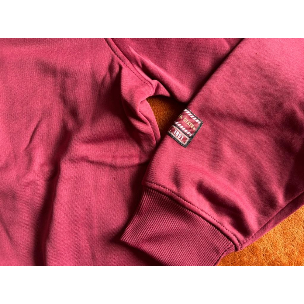 全新NCAA Florida State Seminoles佛羅里達州大運動帽T SZ L-細節圖3