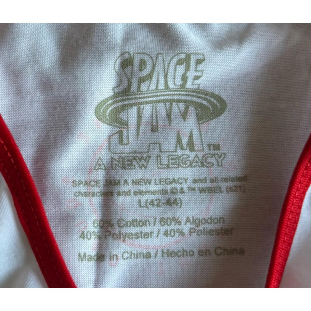 【D1】全新Space Jam Looney Tunes Squad背心SZ L-細節圖4