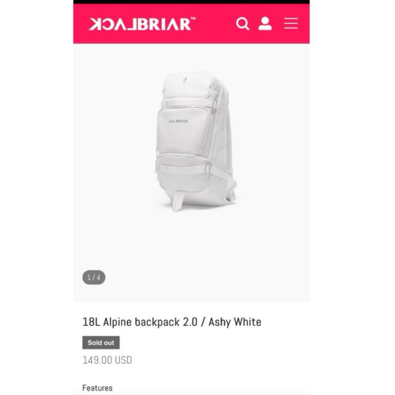 二手BlackBriar Alpine 18L滑雪背包-細節圖3