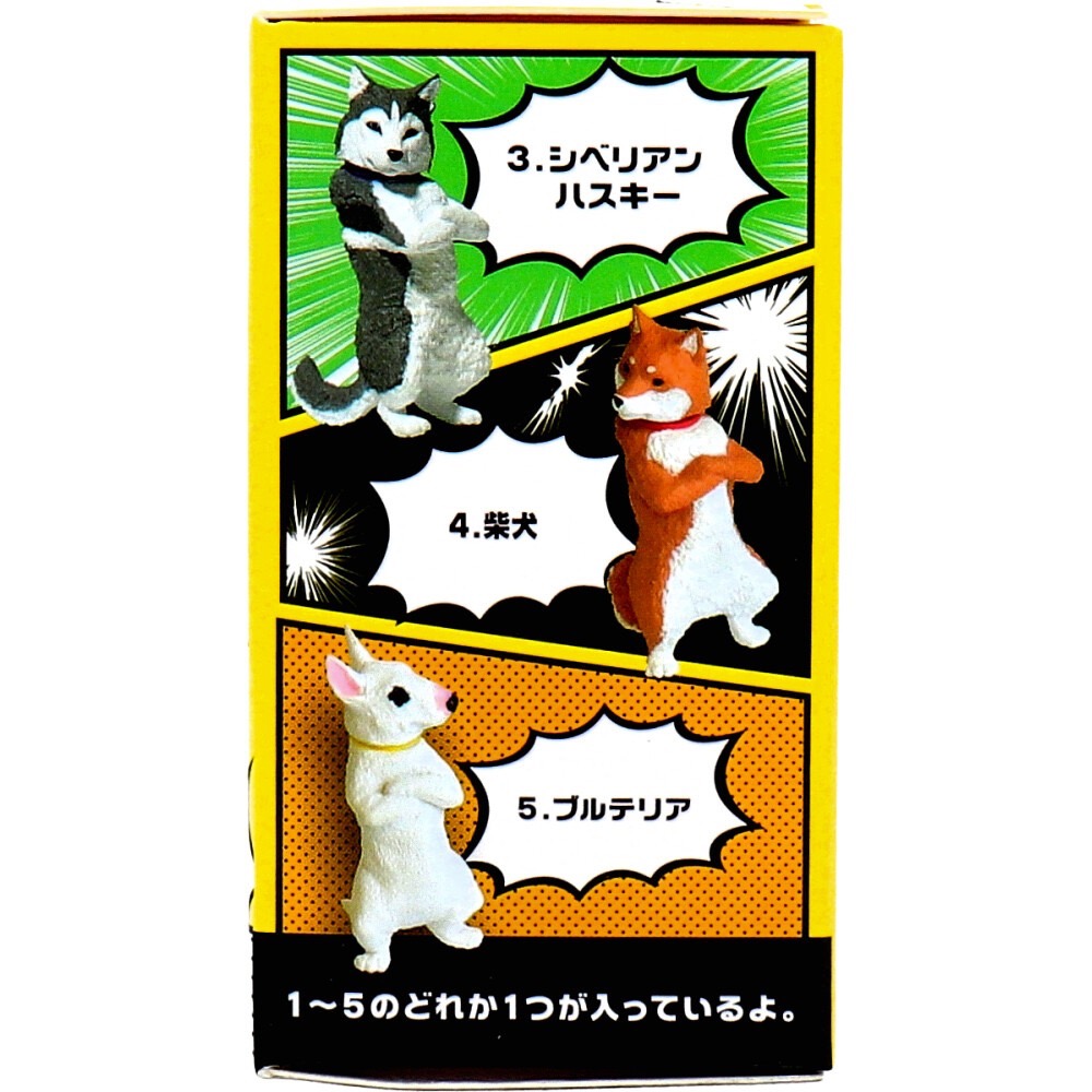 日本＼-可愛狗公仔-盲盒/霸氣狗~頭可轉/放筆狗公仔-細節圖2