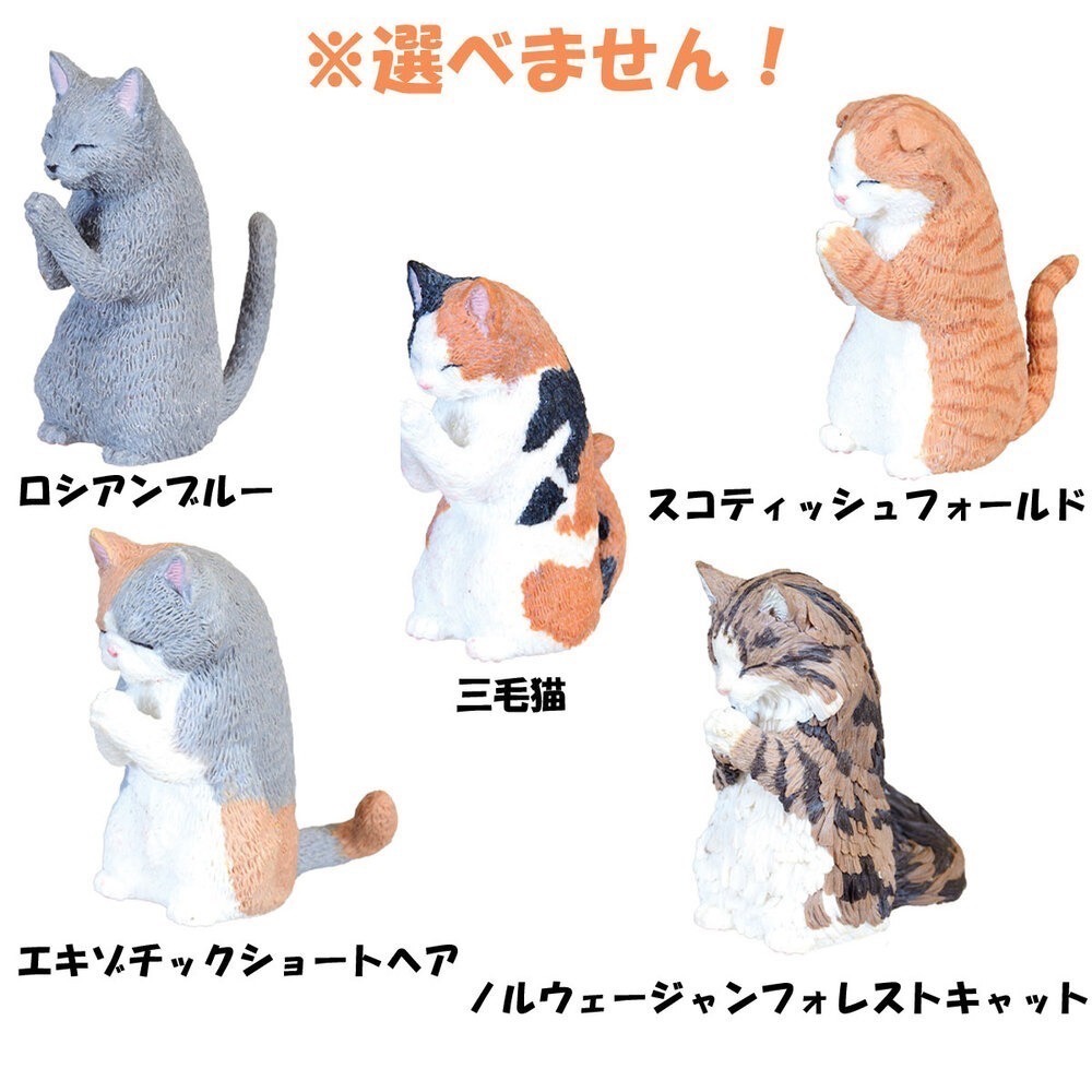 日本可愛貓公仔-盲盒/合掌貓2/釣魚貓2/貓的休假露營日/貓YA手勢/邊緣休息貓-細節圖2