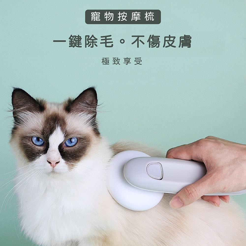 [台灣現貨 快速出貨]一鍵脫毛梳 除毛梳 除毛梳子 美容梳 脫毛梳 SPA級除毛 寵物梳子 一鍵脫毛 貓除毛 狗除毛-細節圖9