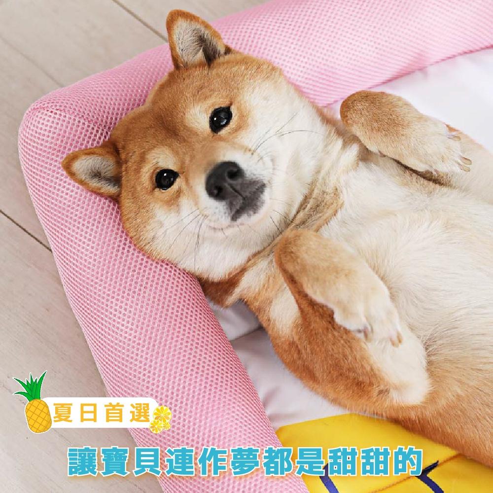 [台灣現貨 快速出貨]寵物涼墊 寵物床 寵物涼感窩 寵物睡窩 寵物涼感透氣墊 方形寵物窩 寵物窩 寵物床墊 貓窩 狗窩-細節圖2