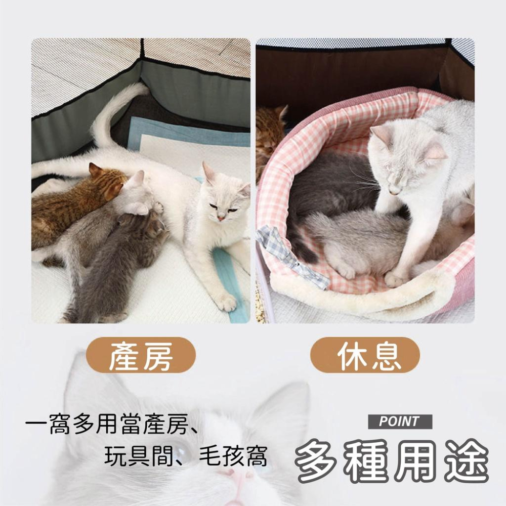 [台灣現貨 快速出貨]八角帳篷 寵物露營帳篷 寵物窩寵物帳篷 貓帳篷 狗帳篷 寵物露營 狗狗帳篷 貓 狗 折疊帳篷-細節圖6