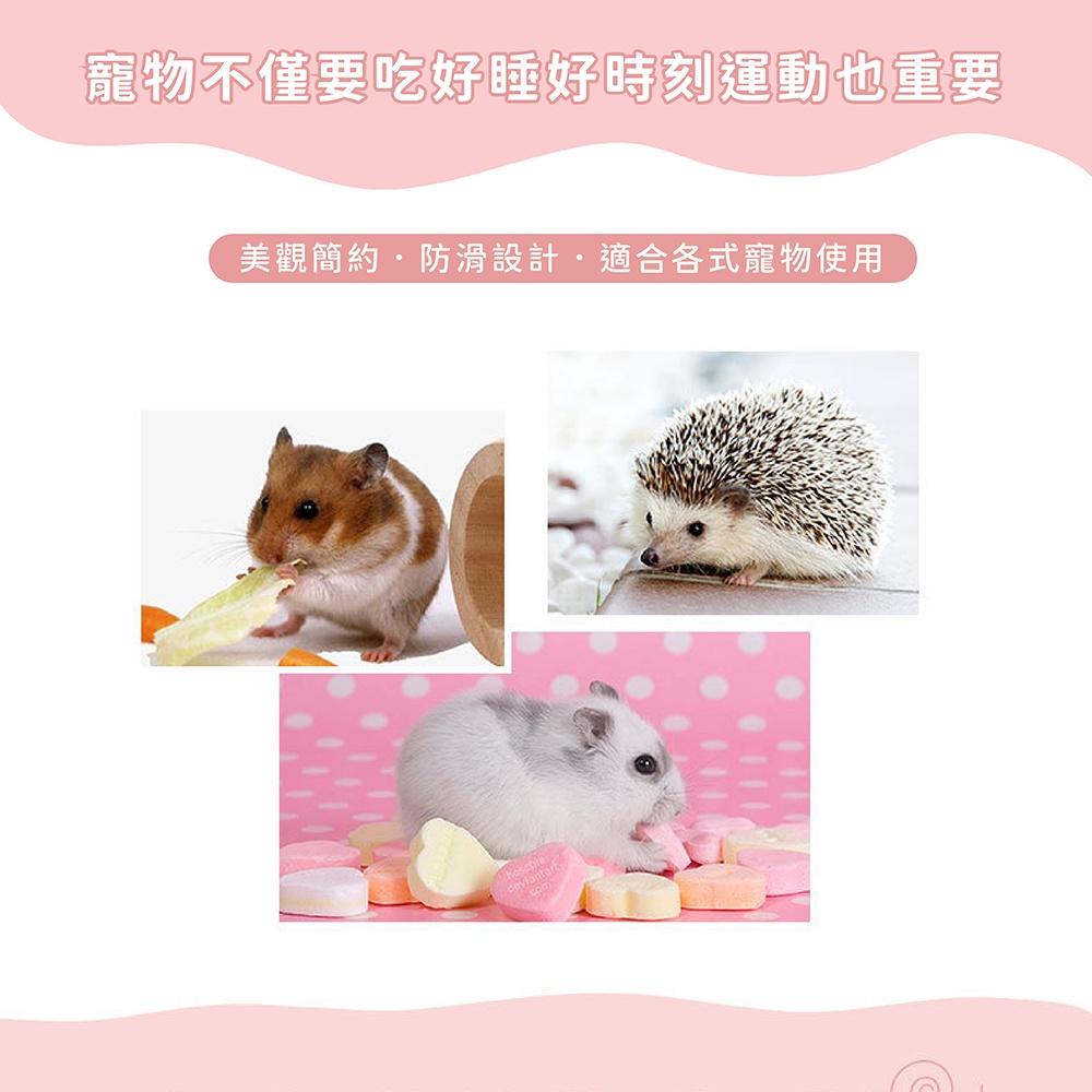 [台灣現貨 快速出貨]靜音跑輪 倉鼠玩具 倉鼠跑輪 寵物跑輪 跑輪 黃金鼠跑輪 飛盤跑輪 飛碟 帶支架 18cm-細節圖2