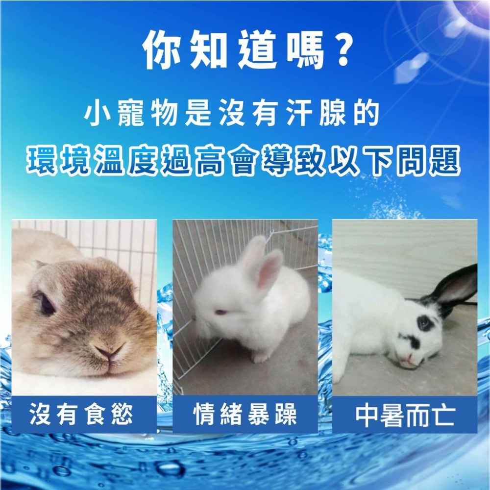 [台灣現貨 快速出貨]冰墊  散熱涼墊 涼感散熱板 小動物散熱板 散熱墊 涼墊 降溫鋁板 倉鼠 老鼠 兔子 龍貓-細節圖2