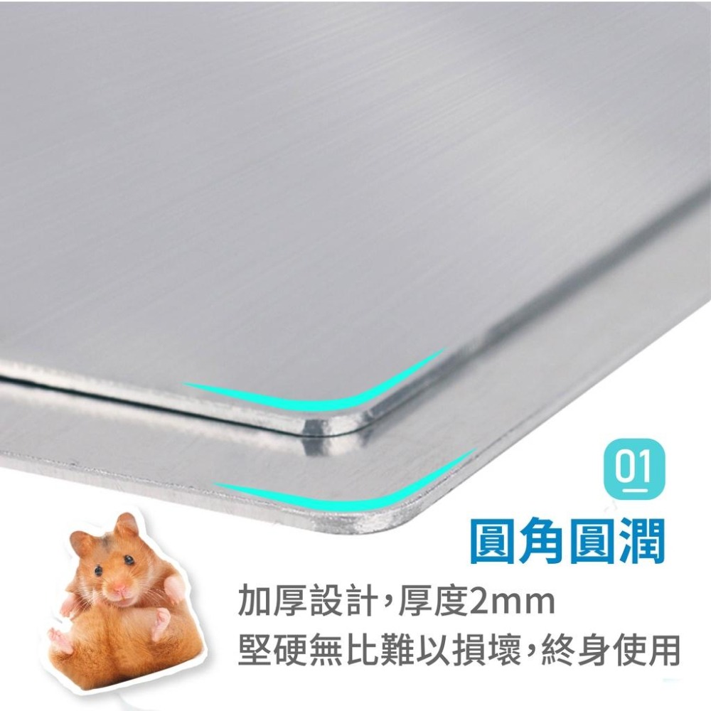 [台灣現貨 快速出貨]冰墊  散熱涼墊 涼感散熱板 小動物散熱板 散熱墊 涼墊 降溫鋁板 倉鼠 老鼠 兔子 龍貓-細節圖3