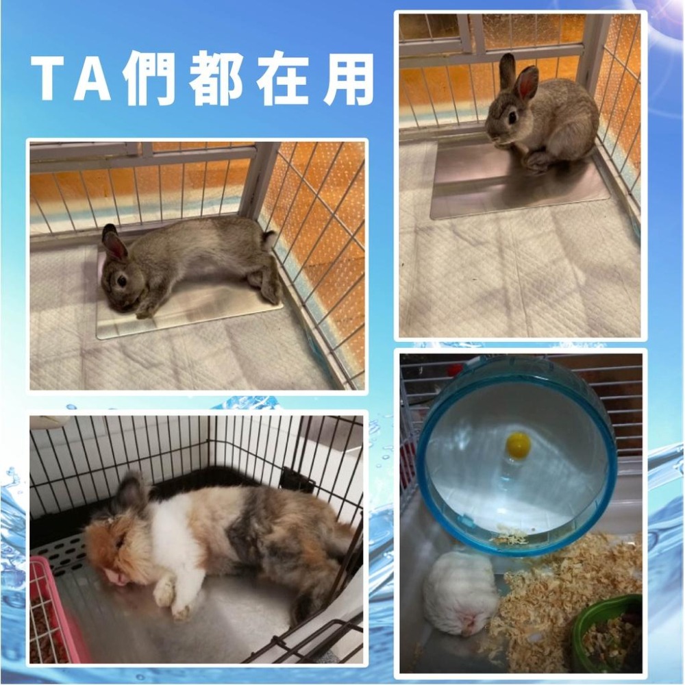 [台灣現貨 快速出貨]冰墊  散熱涼墊 涼感散熱板 小動物散熱板 散熱墊 涼墊 降溫鋁板 倉鼠 老鼠 兔子 龍貓-細節圖7