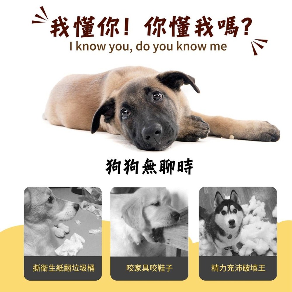 [台灣現貨 快速出貨]寵物玩具 狗狗玩具 耐咬玩具 狗玩具 乳膠材質 紓壓玩具 發聲玩具 狗玩具耐咬 磨牙玩具 動物玩具-細節圖3