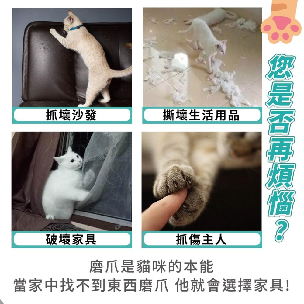 [台灣現貨 可超取 送貓薄荷]大貓抓板 貓抓板 貓磨爪 貓咪舒壓 貓玩具 造型貓抓板 瓦楞紙 耐抓貓抓板 貓紙箱 貓抓箱-細節圖2