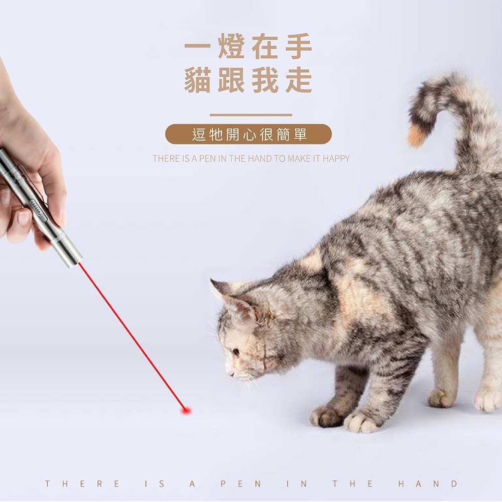 [台灣現貨 快速出貨]逗貓棒 逗貓玩具 紅外線 雷射筆 激光筆 貓玩具 紅外線雷射筆 USB可充電 可驗鈔-細節圖3