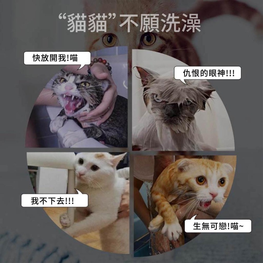 [台灣現貨 快速出貨]洗貓袋  貓 袋子 貓咪洗澡袋 洗貓袋 寵物防抓袋 寵物清潔用品 洗澡籠  寵物洗澡袋-細節圖3