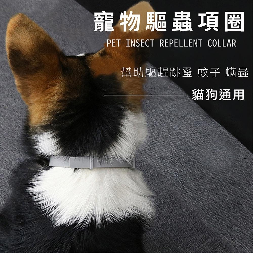 [台灣現貨 快速出貨]寵物項圈 狗狗項圈 貓咪項圈 貓狗項圈 項圈-細節圖2