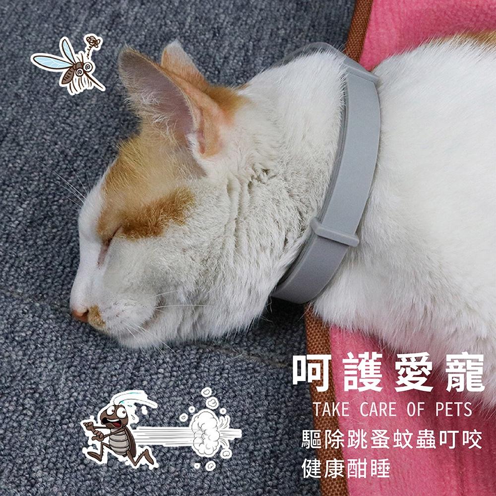 [台灣現貨 快速出貨]寵物項圈 狗狗項圈 貓咪項圈 貓狗項圈 項圈-細節圖3