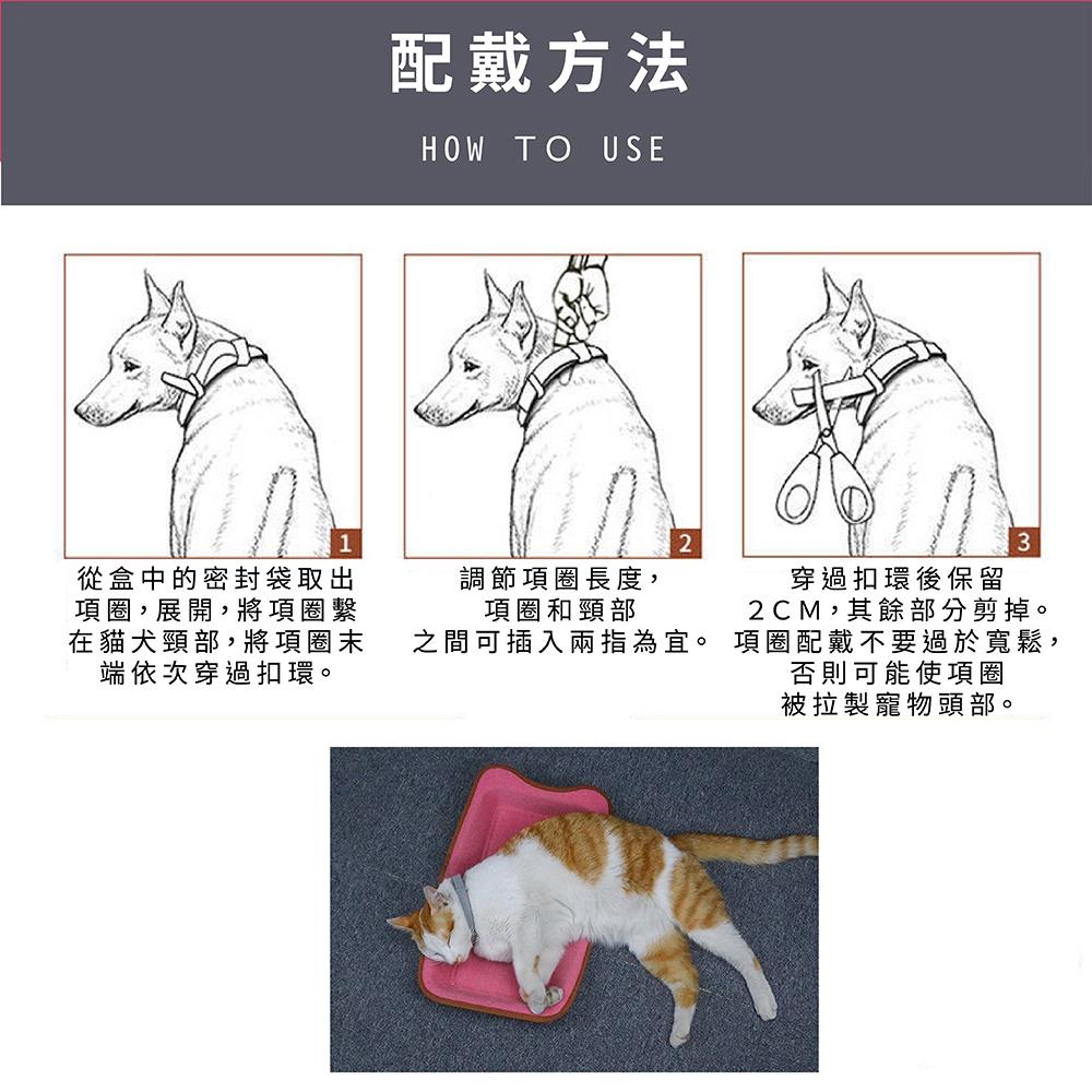[台灣現貨 快速出貨]寵物項圈 狗狗項圈 貓咪項圈 貓狗項圈 項圈-細節圖8