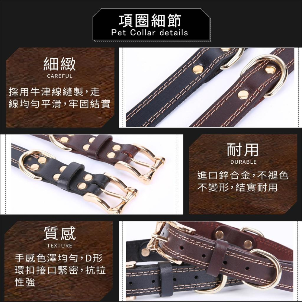 [台灣現貨 快速出貨]寵物項圈 狗項圈 安全項圈 貓咪項圈 牛皮項圈 小型犬項圈 可調整項圈 造型項圈-細節圖2