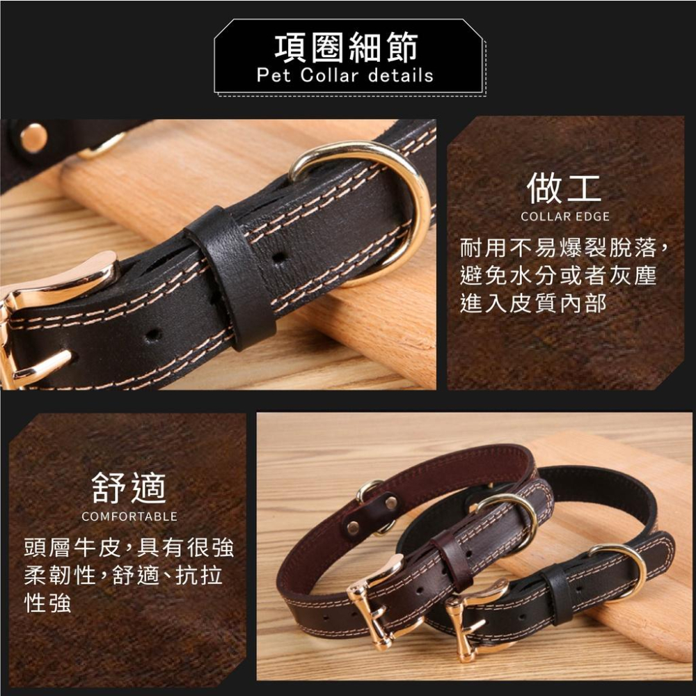 [台灣現貨 快速出貨]寵物項圈 狗項圈 安全項圈 貓咪項圈 牛皮項圈 小型犬項圈 可調整項圈 造型項圈-細節圖3