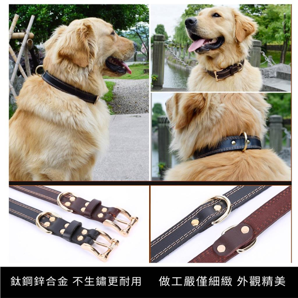 [台灣現貨 快速出貨]寵物項圈 狗項圈 安全項圈 貓咪項圈 牛皮項圈 小型犬項圈 可調整項圈 造型項圈-細節圖4