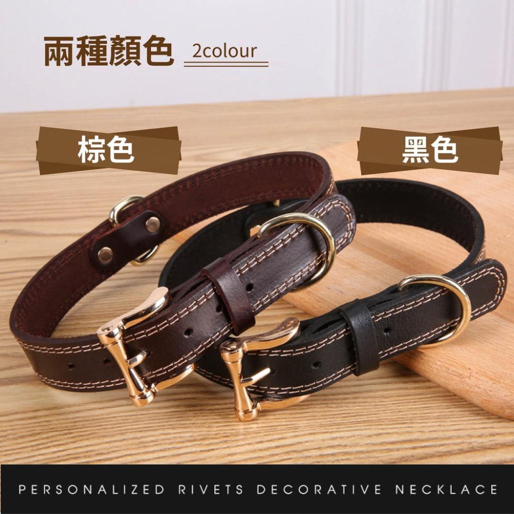 [台灣現貨 快速出貨]寵物項圈 狗項圈 安全項圈 貓咪項圈 牛皮項圈 小型犬項圈 可調整項圈 造型項圈-細節圖6
