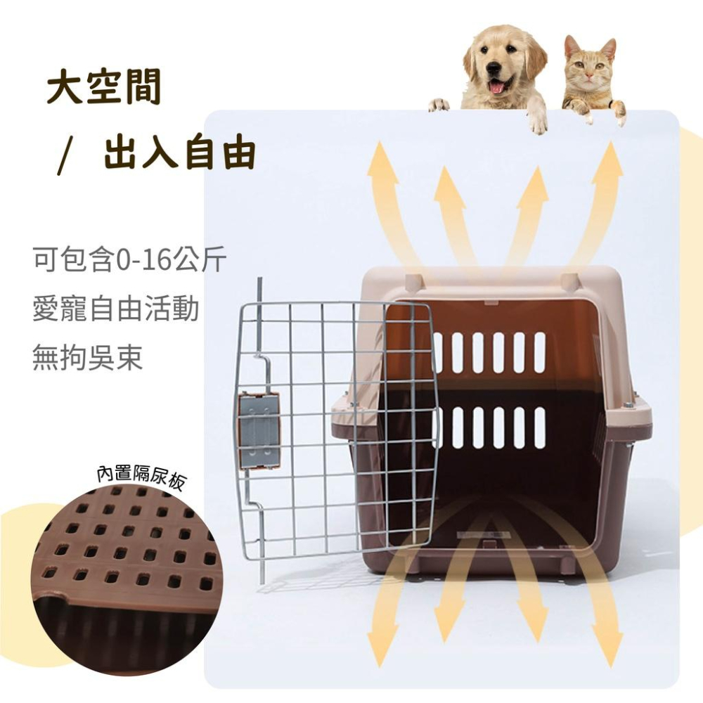[台灣現貨 宅配出貨]外出籠運輸籠 寵物託運航空箱 外出提籠 寵物用品 狗籠 貓籠 狗狗貓咪外出箱空運託運箱 旅行箱-細節圖3