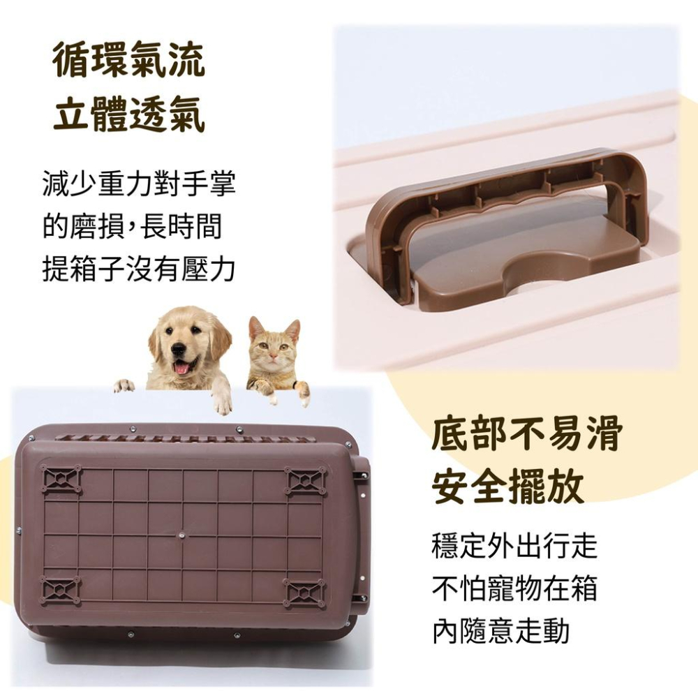 [台灣現貨 宅配出貨]外出籠運輸籠 寵物託運航空箱 外出提籠 寵物用品 狗籠 貓籠 狗狗貓咪外出箱空運託運箱 旅行箱-細節圖5