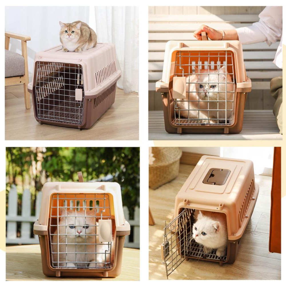 [台灣現貨 宅配出貨]外出籠運輸籠 寵物託運航空箱 外出提籠 寵物用品 狗籠 貓籠 狗狗貓咪外出箱空運託運箱 旅行箱-細節圖9