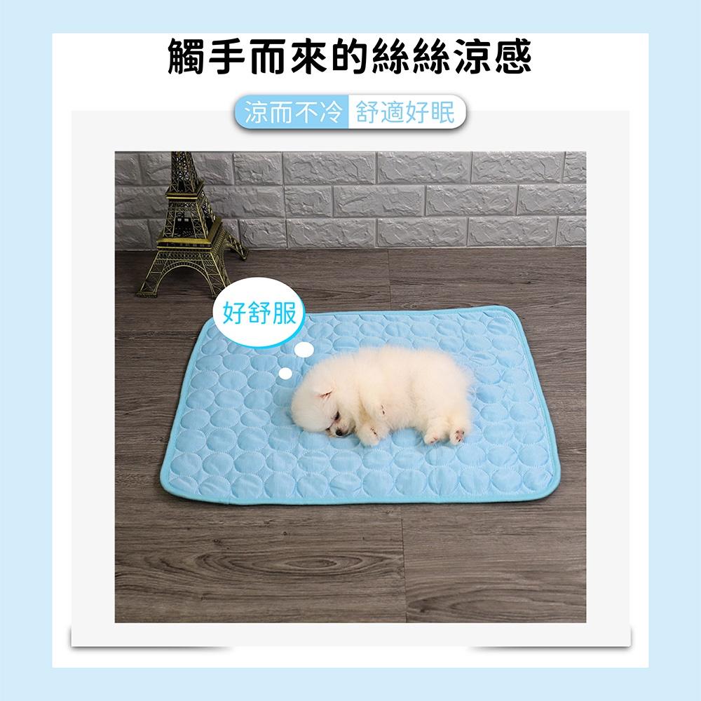 [台灣現貨 快速出貨]寵物涼感墊 寵物冰涼墊 寵物冰絲涼感墊 睡墊 寵物睡墊 貓墊 狗墊 狗睡墊 寵物床 寵物用品-細節圖2