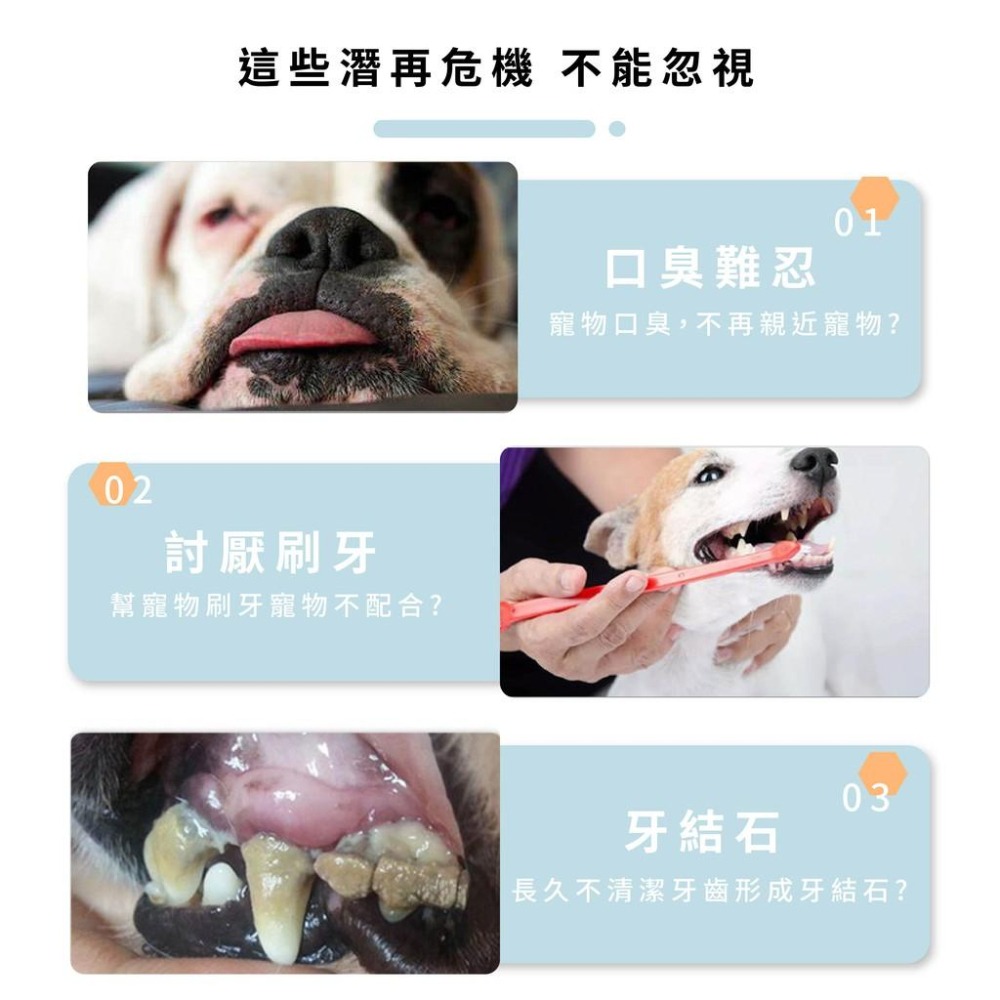 [台灣現貨 快速出貨]濕巾 手指套 潔牙濕巾 寵物濕巾 寵物用品 寵物潔牙濕巾 口腔牙齒清潔 祛除牙垢 結石 口氣 手指-細節圖2