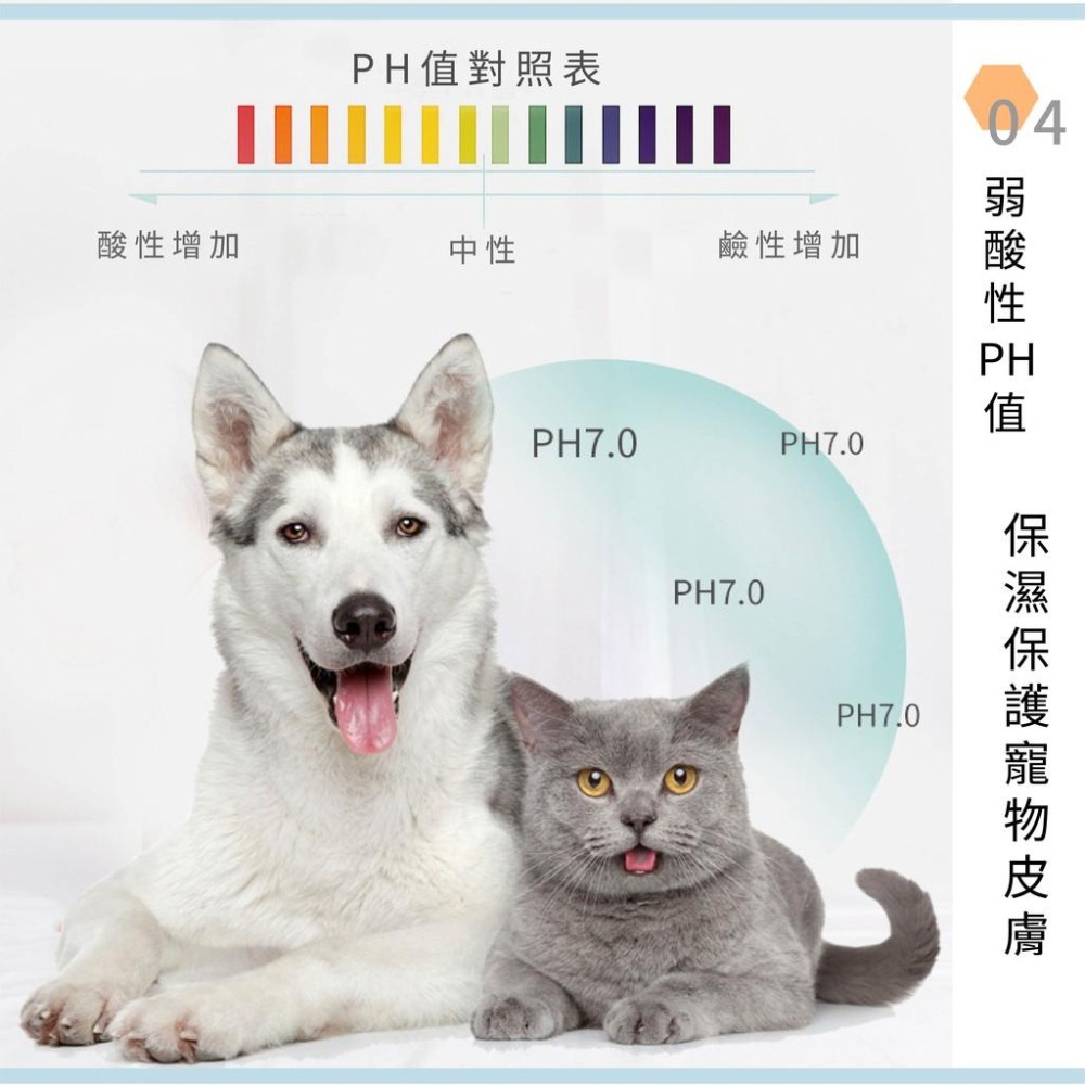 [台灣現貨 快速出貨]濕巾 手指套 潔牙濕巾 寵物濕巾 寵物用品 寵物潔牙濕巾 口腔牙齒清潔 祛除牙垢 結石 口氣 手指-細節圖4