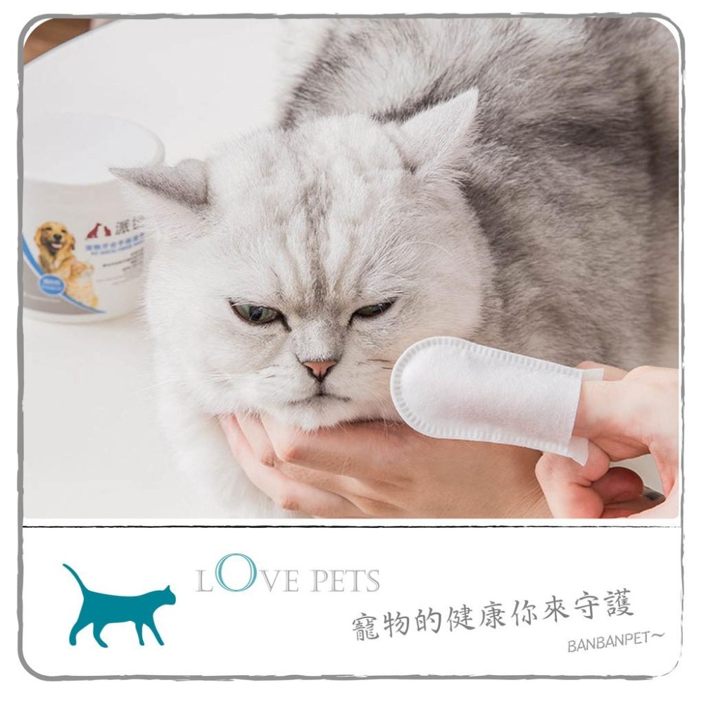 [台灣現貨 快速出貨]濕巾 手指套 潔牙濕巾 寵物濕巾 寵物用品 寵物潔牙濕巾 口腔牙齒清潔 祛除牙垢 結石 口氣 手指-細節圖8